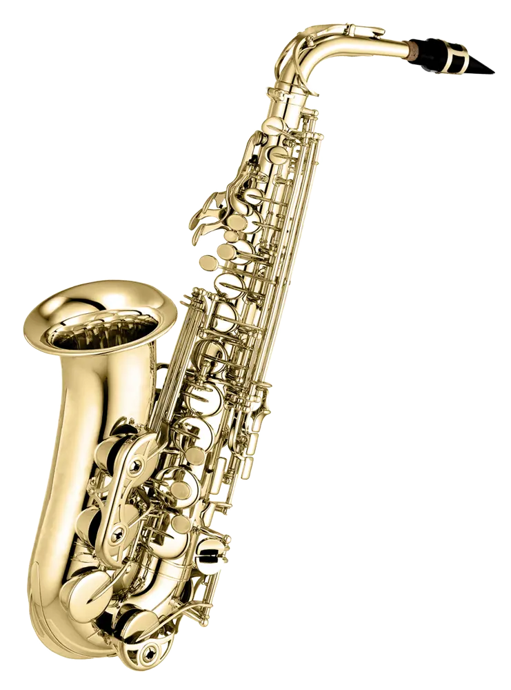 Musikverein Wulmeringhausen-Saxophon